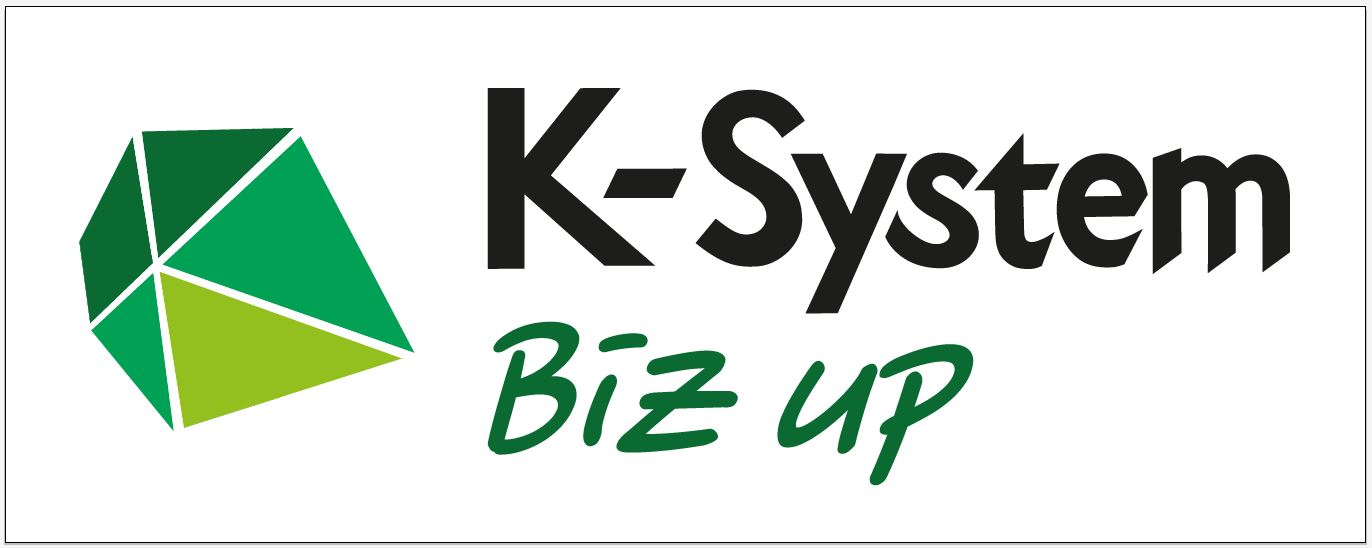 K-System Biz Up