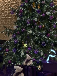 photo_15_2025-12-01_15-51-27